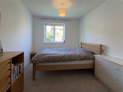 Picture 26